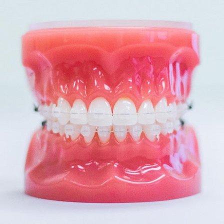 Orbach Orthodontics