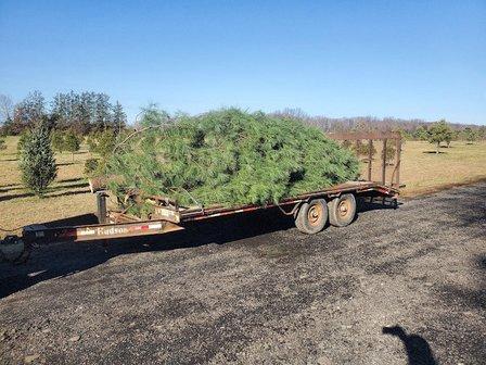 Country Loving Christmas Tree Farm