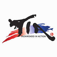 Taekwondo In Action - Reston/Herndon