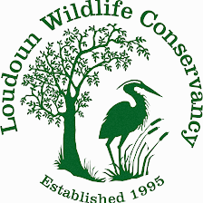 Loudoun Wildlife Conservancy