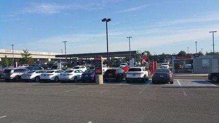 Avis Car Rental