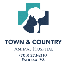 Town & Country Animal Hospital