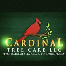 Cardinal Tree Care LLC