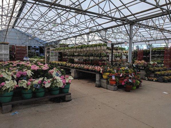 Lowe's Garden Center