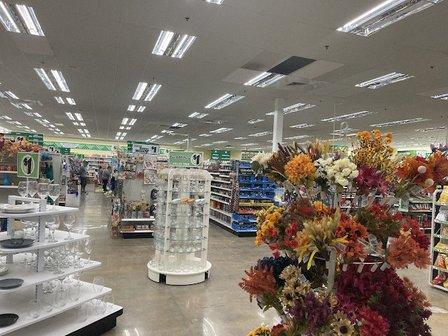 Dollar Tree
