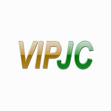 VIP Junk Co LLC