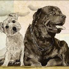 DogGone Natural