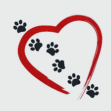 Heart & Soul Pet Sitting