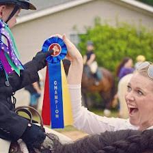 Bowdangles Horse Show Bows