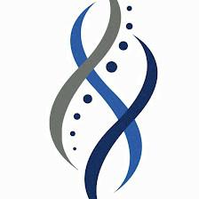 Momentum Chiropractic and Rehab