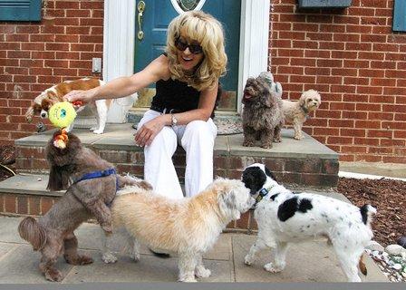Julie's Pooch Pad