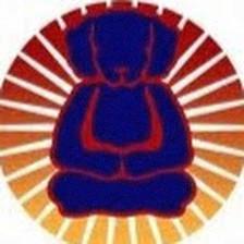 The Enlightened Dog