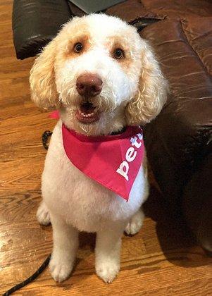 Petco