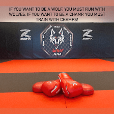 Wolf MMA