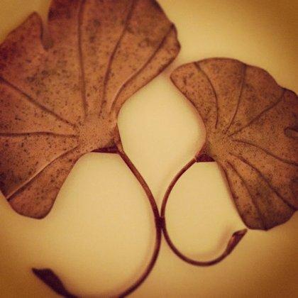 Firefly Acupuncture and Wellness
