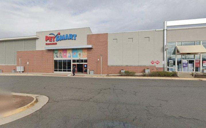 PetSmart Grooming