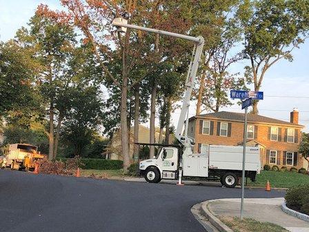 Bonilla Tree Service Inc.