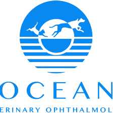 Ocean Veterinary Ophthalmology, LLC