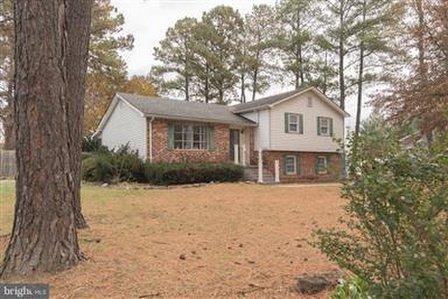 Amanda White, Nova Home Hunters Realty
