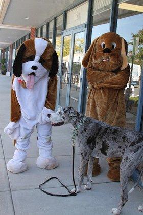 DogGone Natural