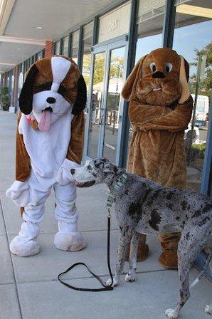 DogGone Natural