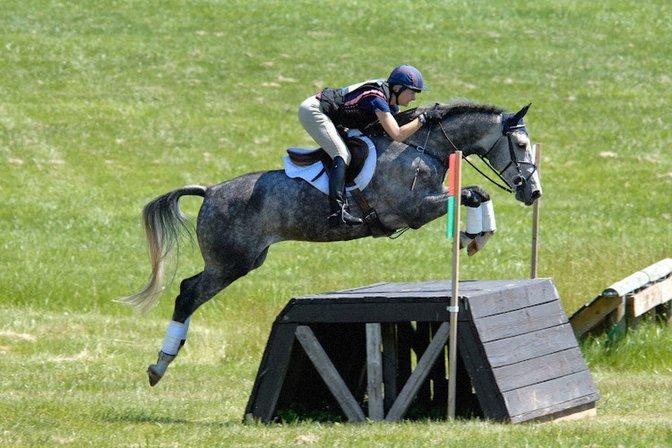 Champagne Wishes Farm