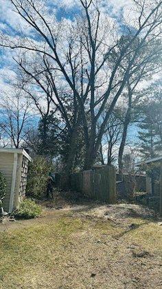 VG Tree Services INC