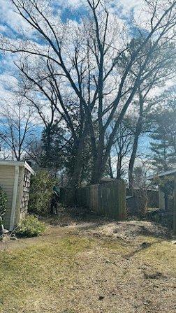VG Tree Services INC