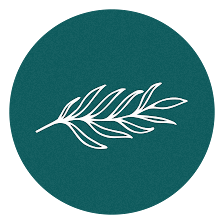 Ashberry by Van Metre Homes