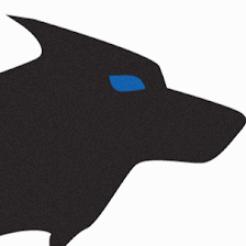 ROKA SECURITY, LLC
