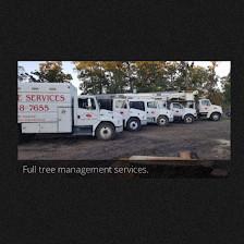 Osmin Tree Services