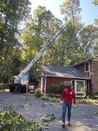 Grant Brothers Tree Service