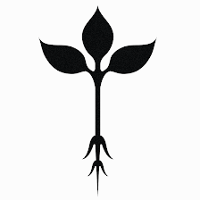 Roots Natural Kitchen