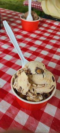 Brookfield Dairy Farm