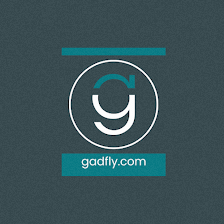 Gadfly Ledgers
