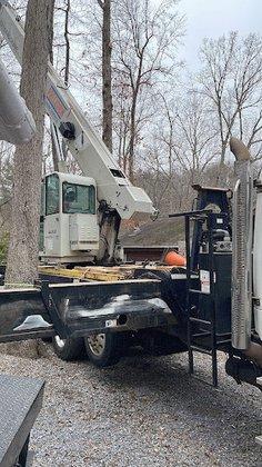 Evergreen Tree Service