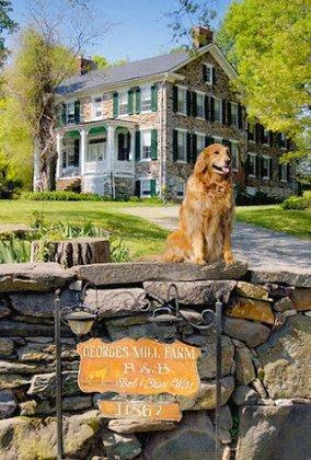 Georges Mill Farm Bed & Breakfast