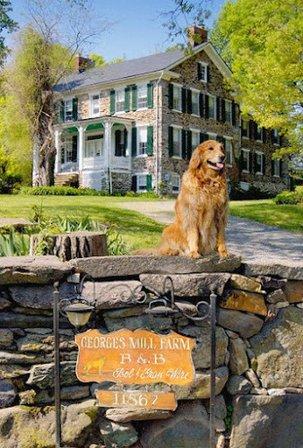 Georges Mill Farm Bed & Breakfast