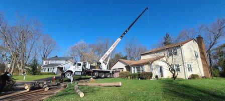 Osmin Tree Services