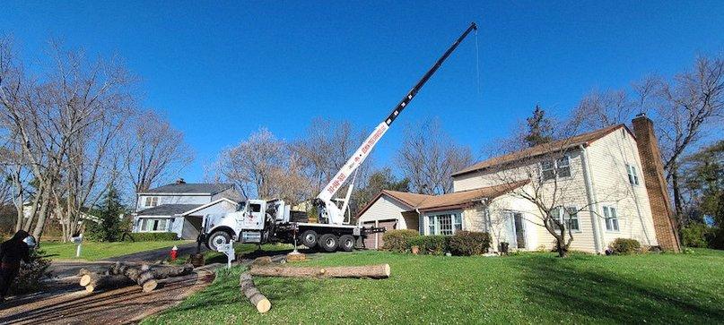 Osmin Tree Services