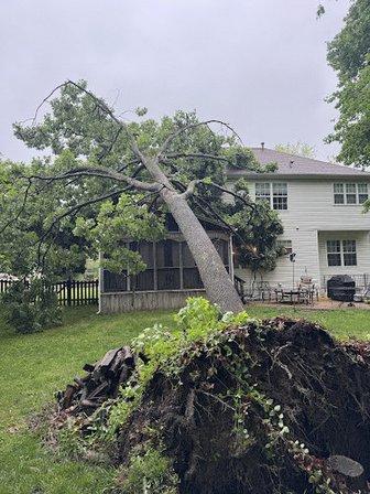 Tyson's Tree Service