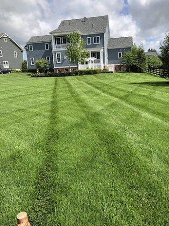 Bautista Landscaping LLC