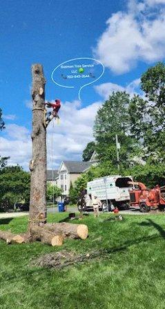Gusman Tree Services LLC