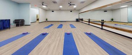 Onelife Fitness - Sterling
