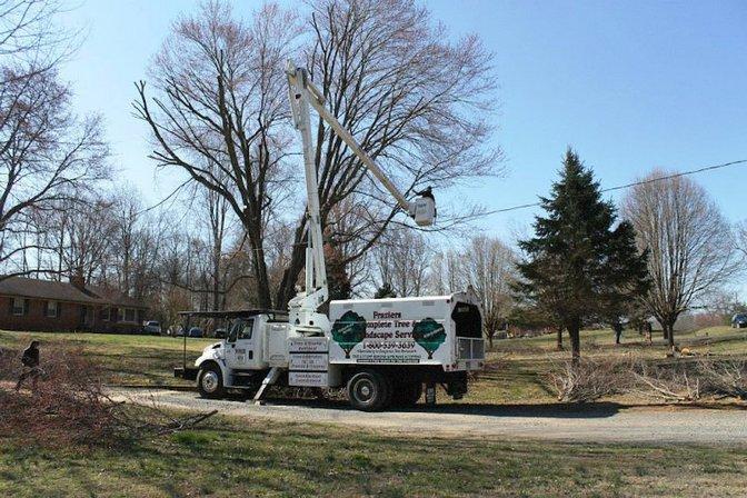 Gordon W. Frazier Tree Service