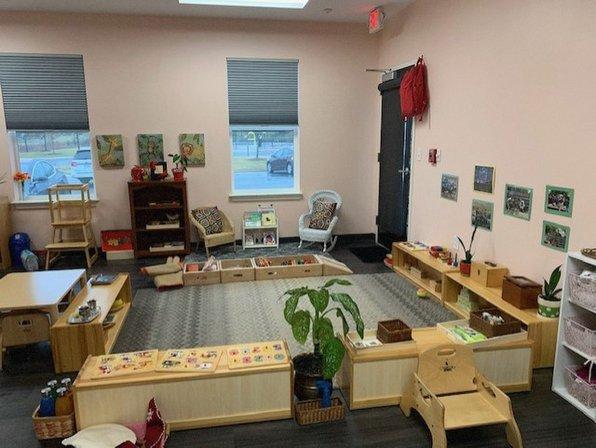The Curious Minds Montessori School