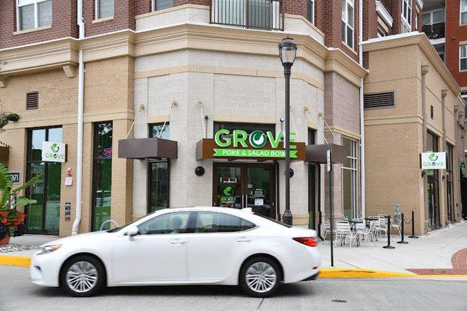 Grove - Poke & Salad Bowl