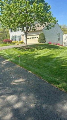 The Blade Lawn Care