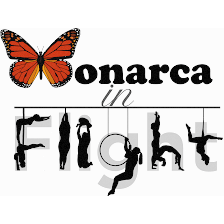 Monarca in Flight