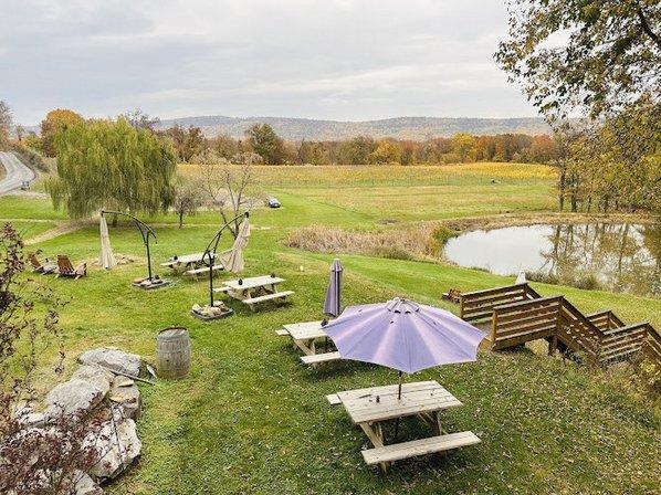 Wineberry Wellness Retreats